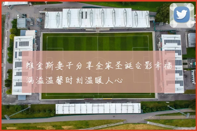 维金斯妻子分享全家圣诞合影幸福满溢温馨时刻温暖人心