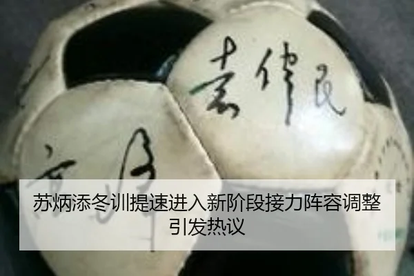 苏炳添冬训提速进入新阶段接力阵容调整引发热议（ayx）